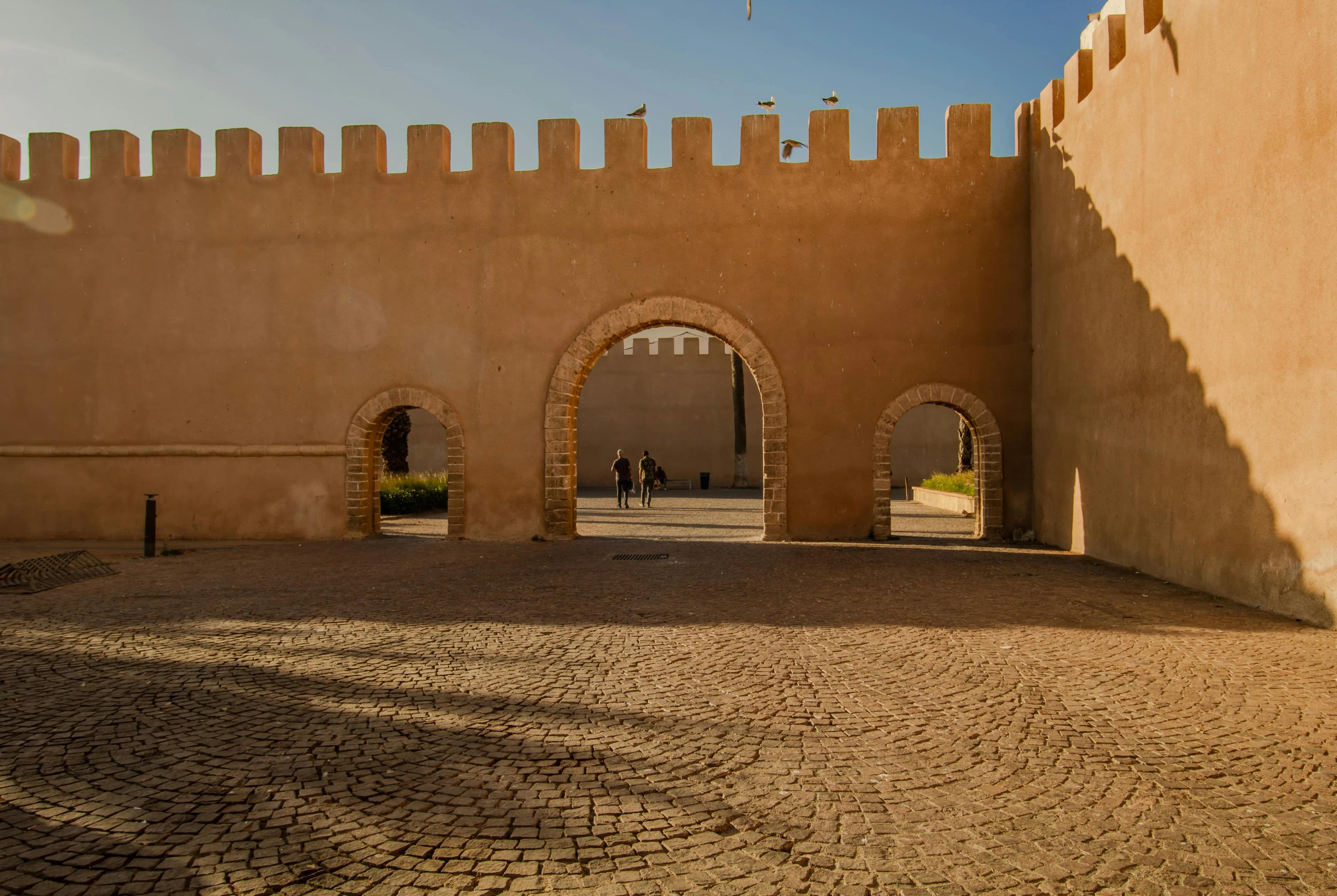 ZahriTours Background