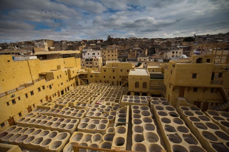 Explore Old Medina
